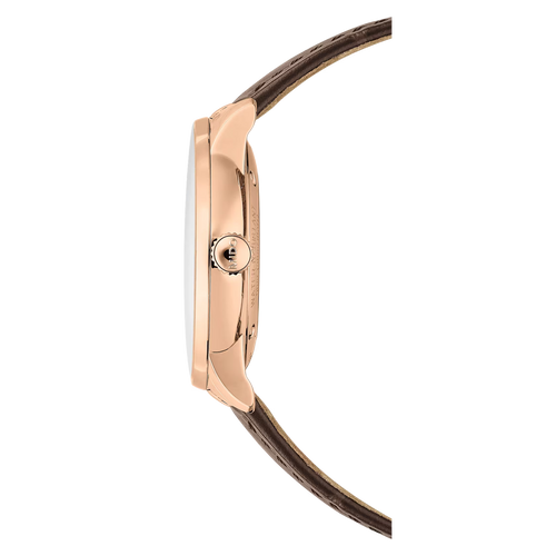 Baroncelli Signature Gent