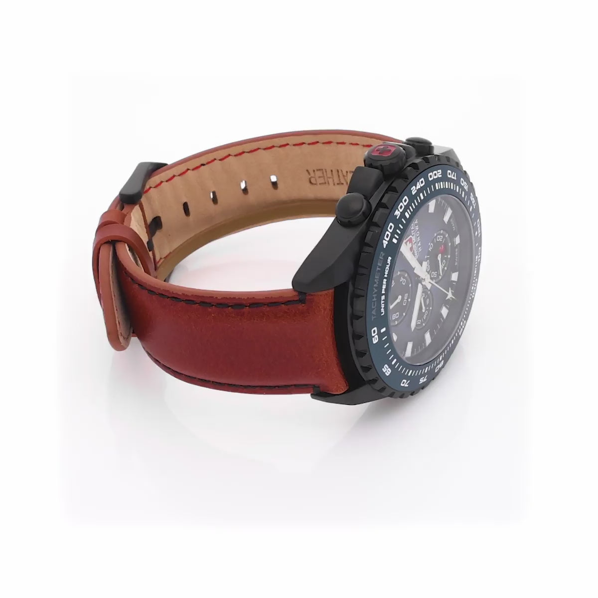 Stone Marten Blue Dial